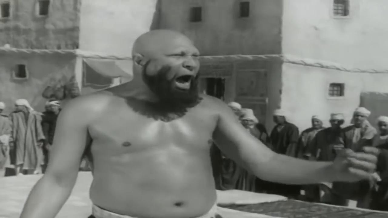 نصر سيف