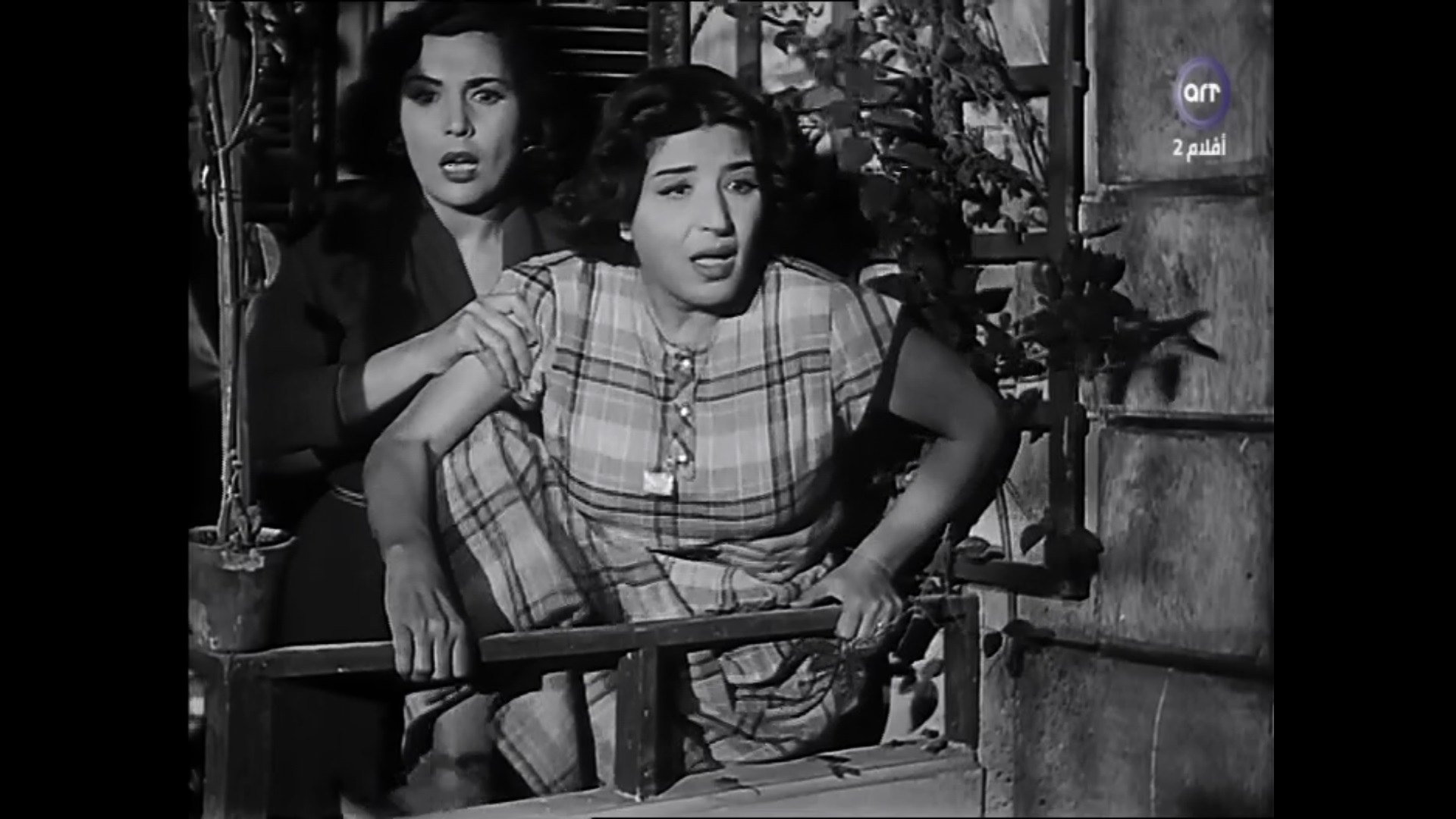 Aziza Amir
	  	 	 - Taheya Kariokka