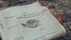 فيلم: القط