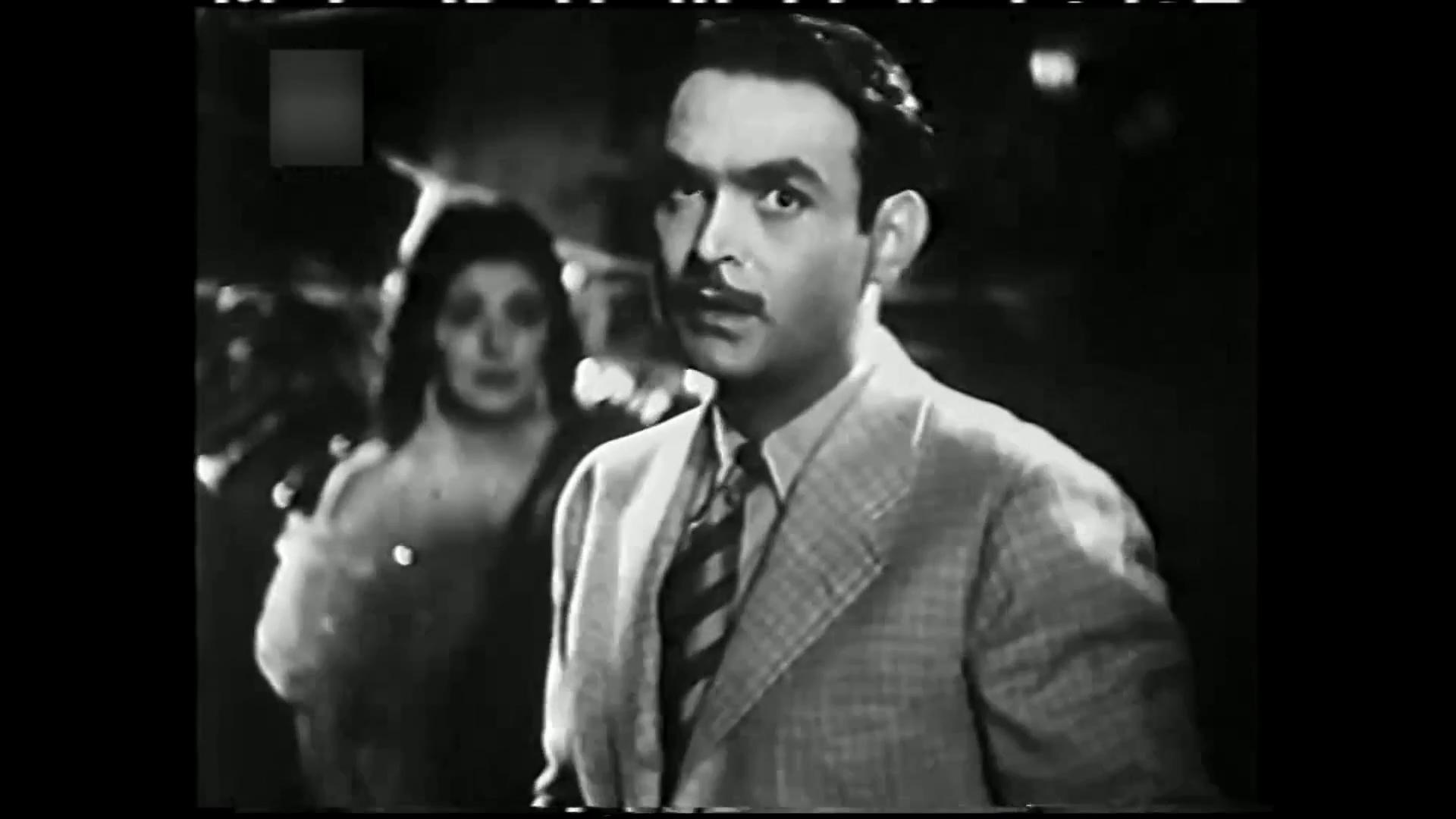 محمود ذو الفقار