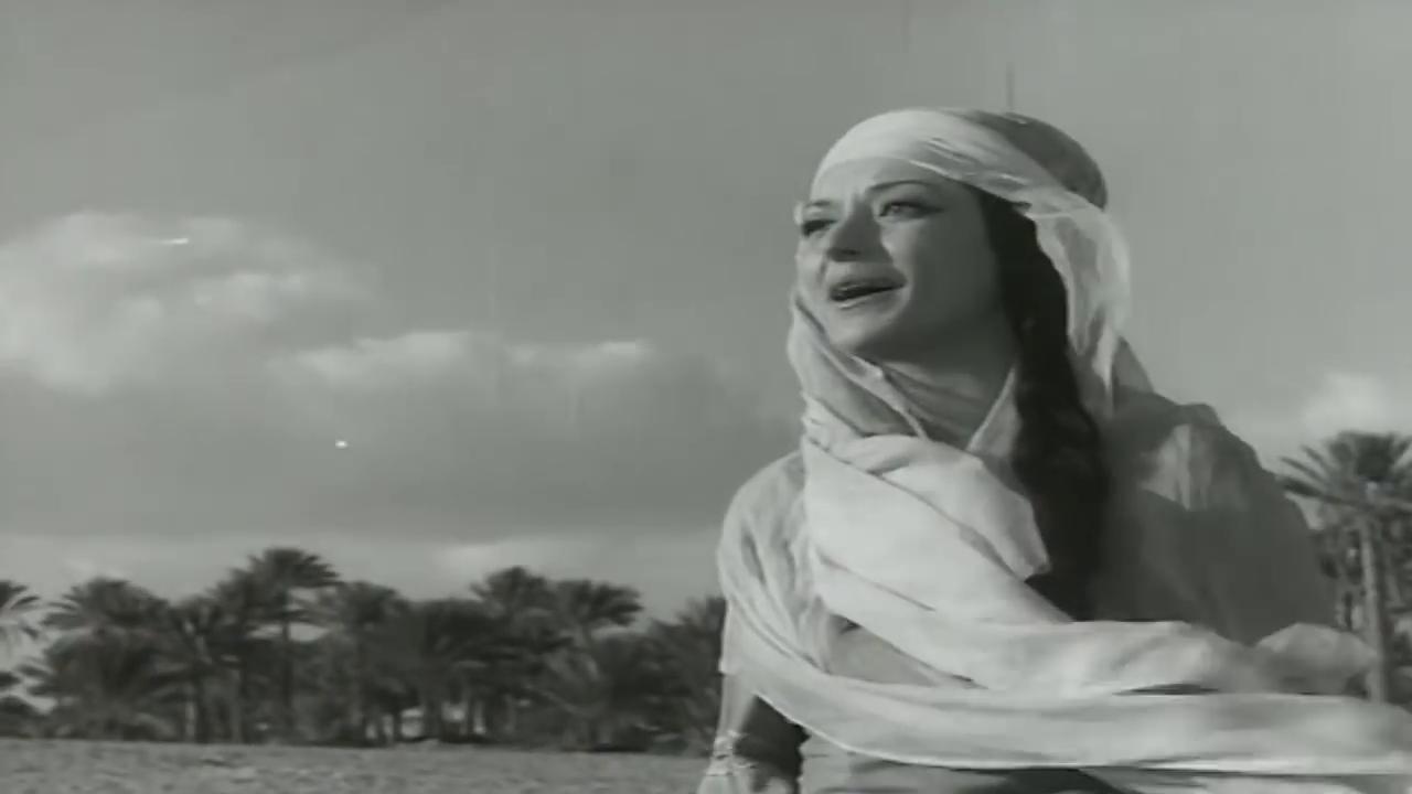 محسنة توفيق