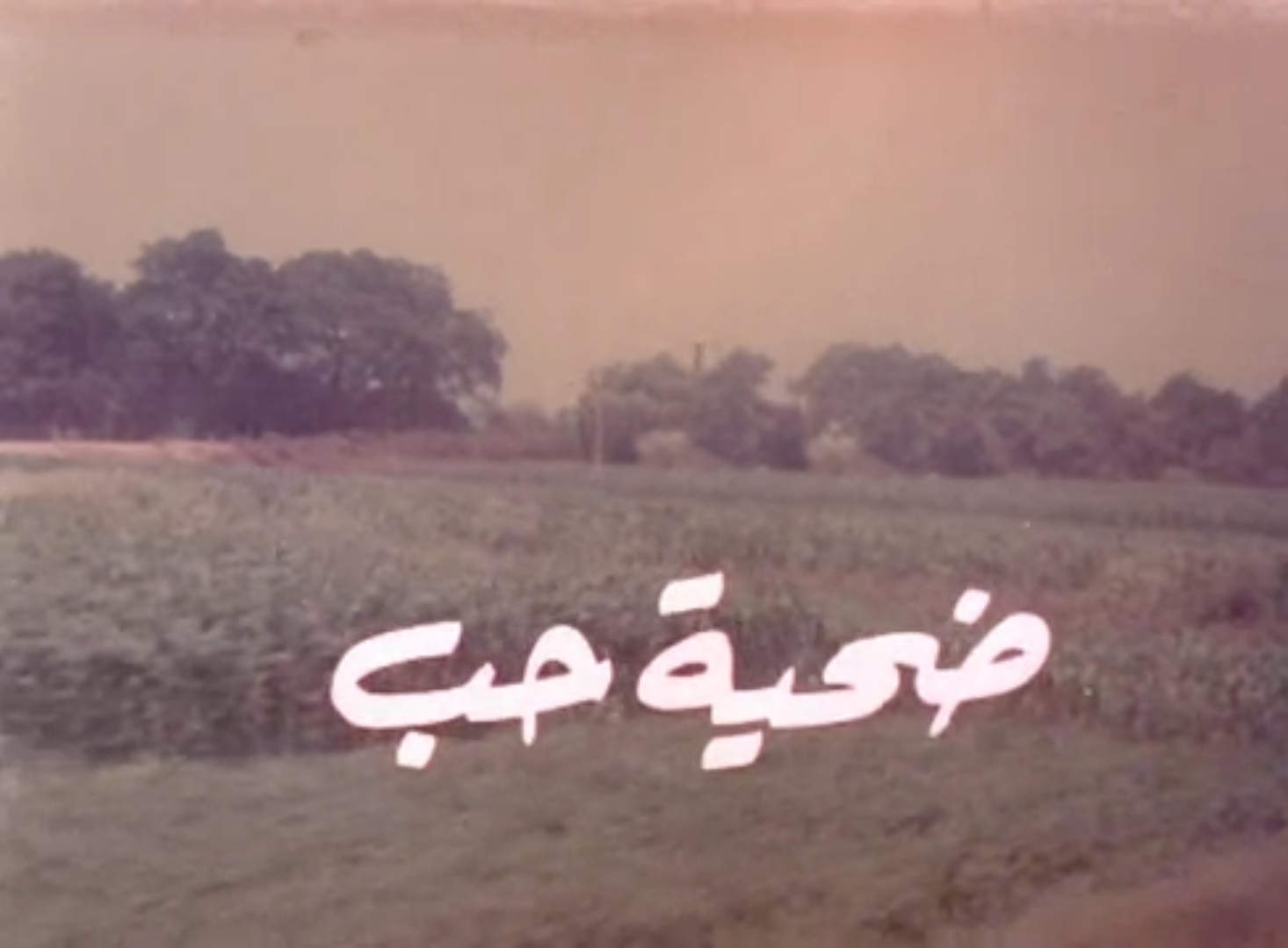 فيلم ضحية حب
