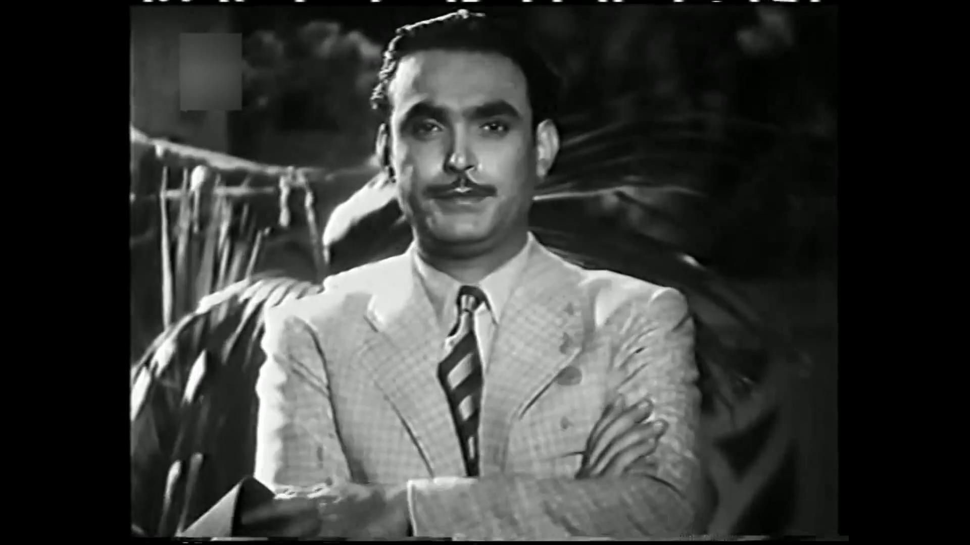 محمود ذو الفقار