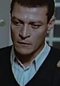 حمدي هيكل