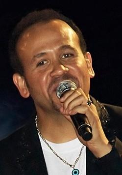 هشام عباس