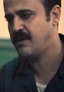 محمد الشربيني