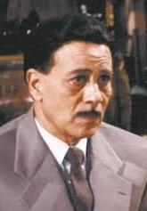 سيد عزمي