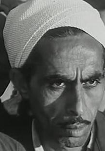 طوسون معتمد